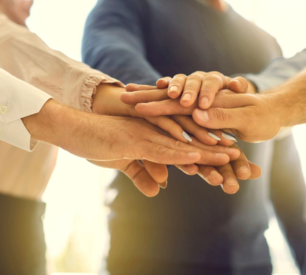 Diseño sin título - 2025-03-19T111610.757